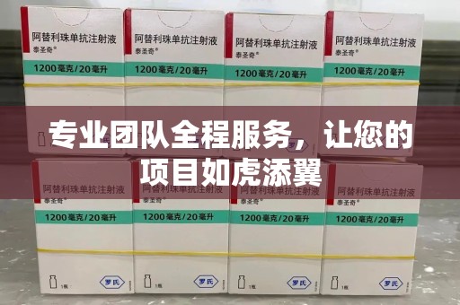 宜昌专业团队全程服务，让您的项目如虎添翼
