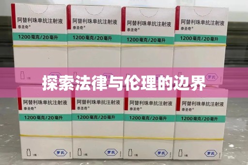 宜昌探索法律与伦理的边界