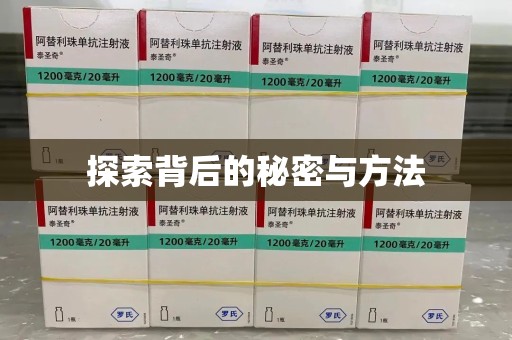 宜昌探索背后的秘密与方法