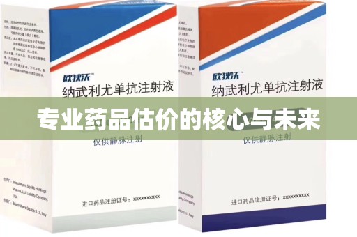 宜昌专业药品估价的核心与未来
