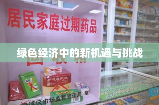 宜昌绿色经济中的新机遇与挑战