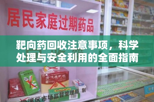 宜昌靶向药回收注意事项，科学处理与安全利用的全面指南