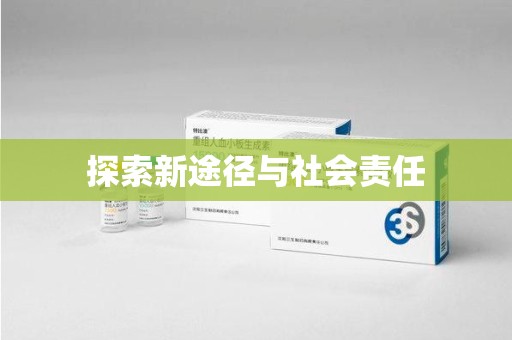 宜昌探索新途径与社会责任